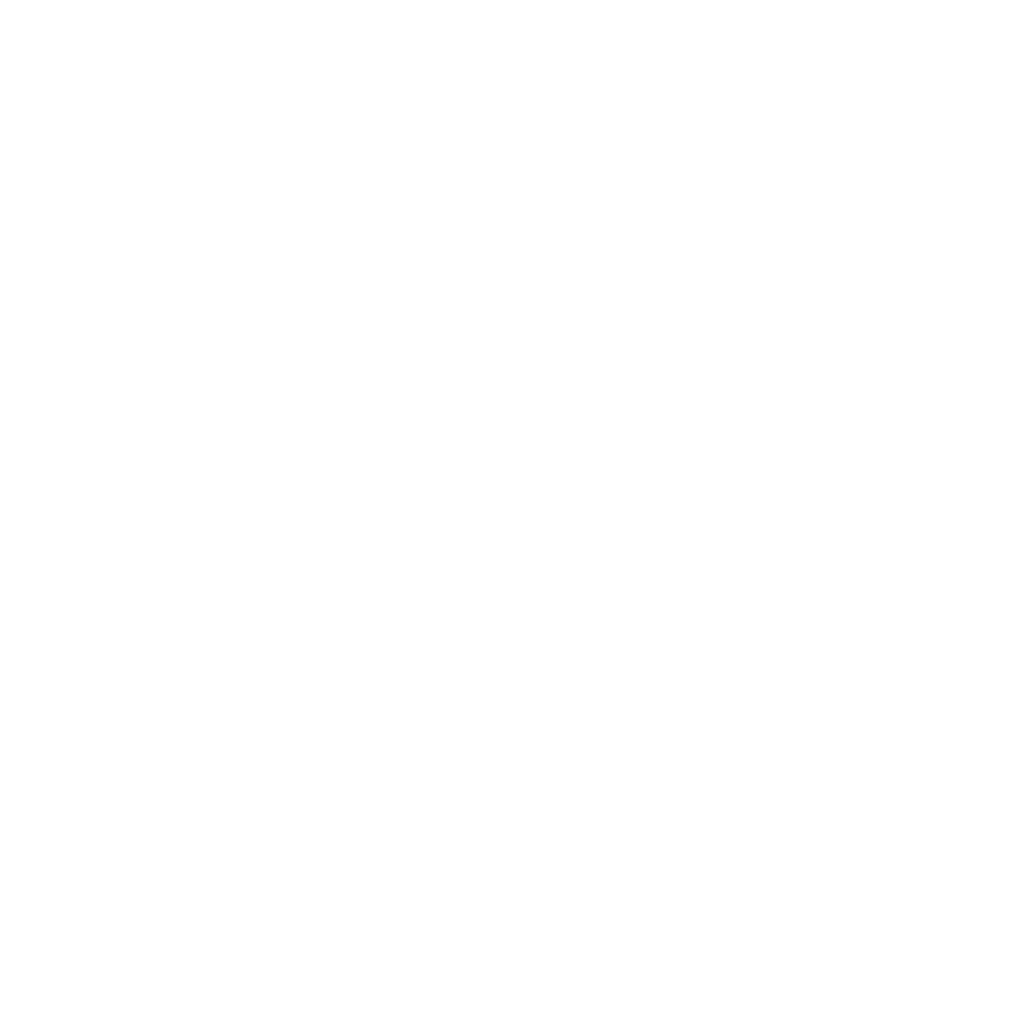 logo light